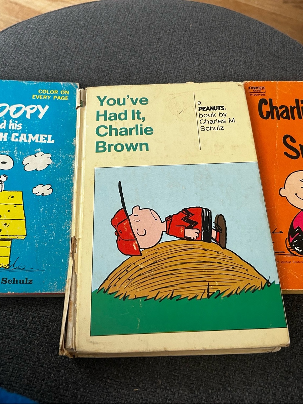 Charlie Brown books
